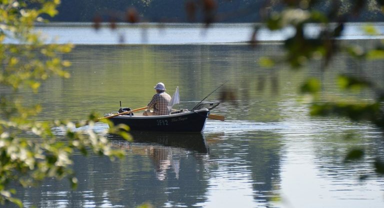 Skuteczna przynęta na ryby drapieżne