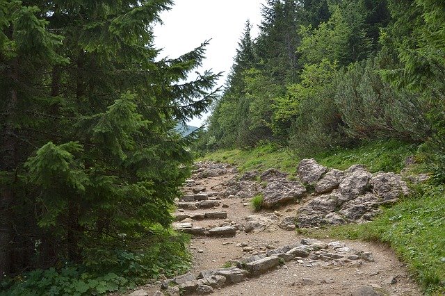 Jakie atrakcje warto odwiedzić w Zakopanem?