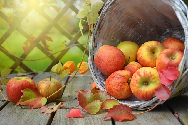 Ekologiczne Aspekty Przechowywania Jabłek w Chłodni - Jak dbanie o środowisko może iść w parze z przechowywaniem jabłek w chłodni?