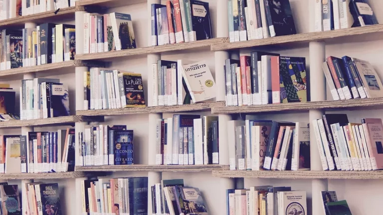 Antykwariat i skup książek - odkryj skarby literackie w twojej bibliotece